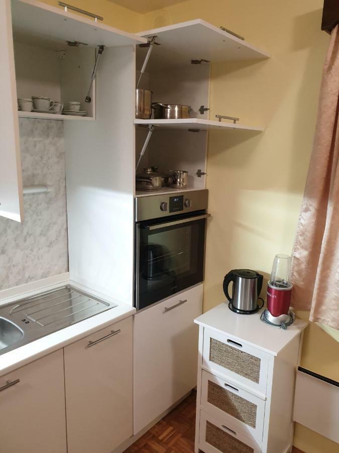 Terme Catez Apartma Nine Catez ob Savi Esterno foto