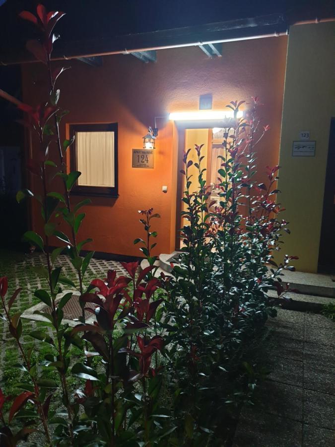 Terme Catez Apartma Nine Catez ob Savi Esterno foto